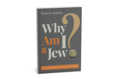 ‘Why Am I a Jew?’ A sincere attempt at addressing big questions about Judaism – book review